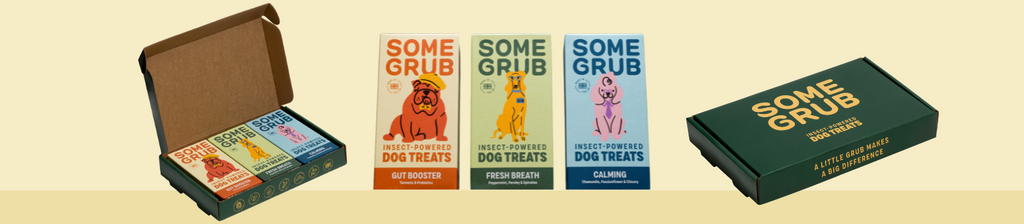 Some Grub: Insect Powered Dog Treats