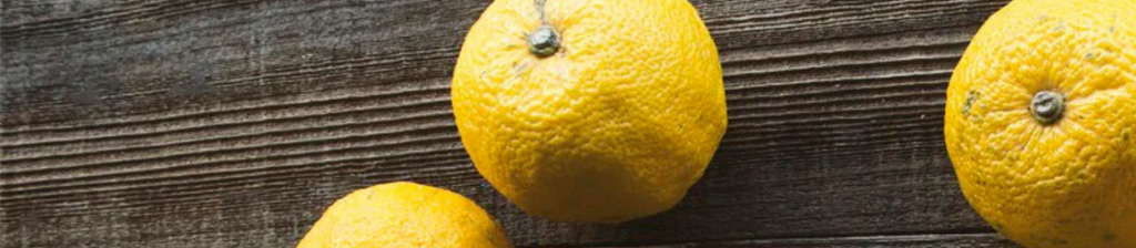Yuzu Story: Sparkling Yuzu Soda